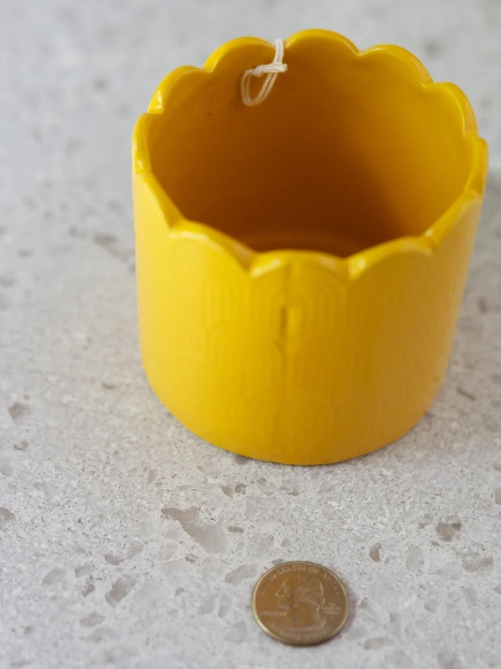 Yellow Scalloped Ceramic Planter Small Flower Pot Flora Bunda NWT
